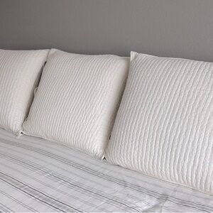 3 Pottery Barn Euro shams and pillows